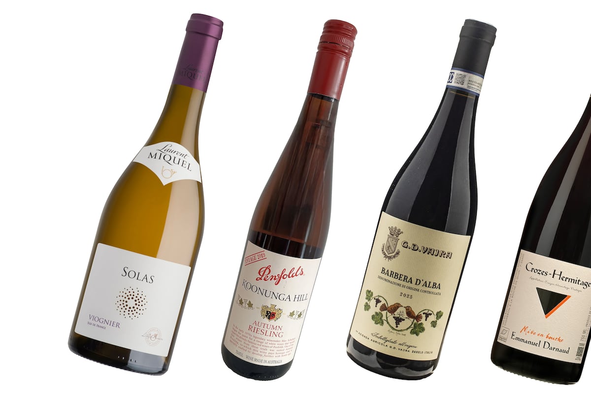 I don’t like autumn, but these wines will help me get through it