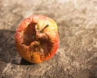 Bad apple effect: study shows how people are influenced by rule-breaking of others