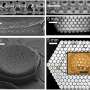 Supersized glassy shell of microalgae reveals optical effect valuable for medical imaging