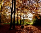 The September reset is real. I’m about to become a better person, flaxseed by flaxseed | Emma Brockes