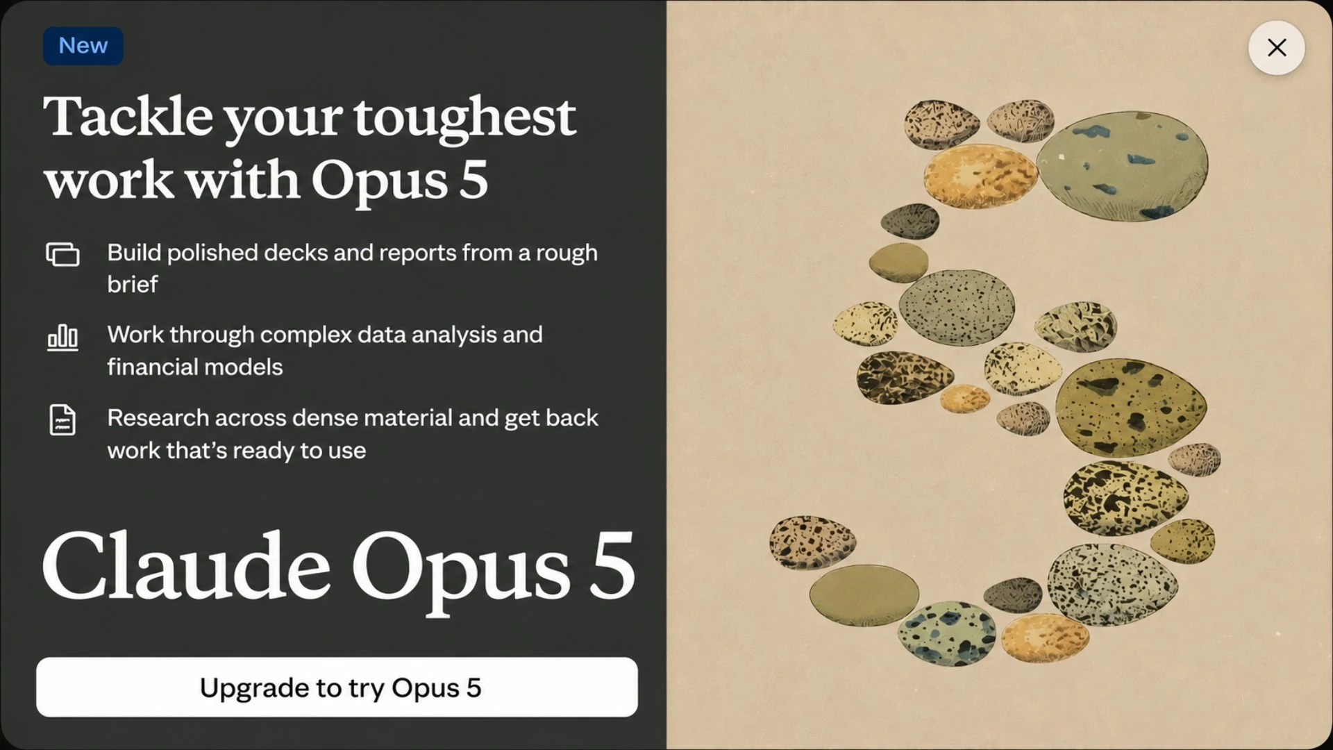 مفاجأة! Claude Opus 5 الأصغر يتفوق على Fable 5 في البرمجة
