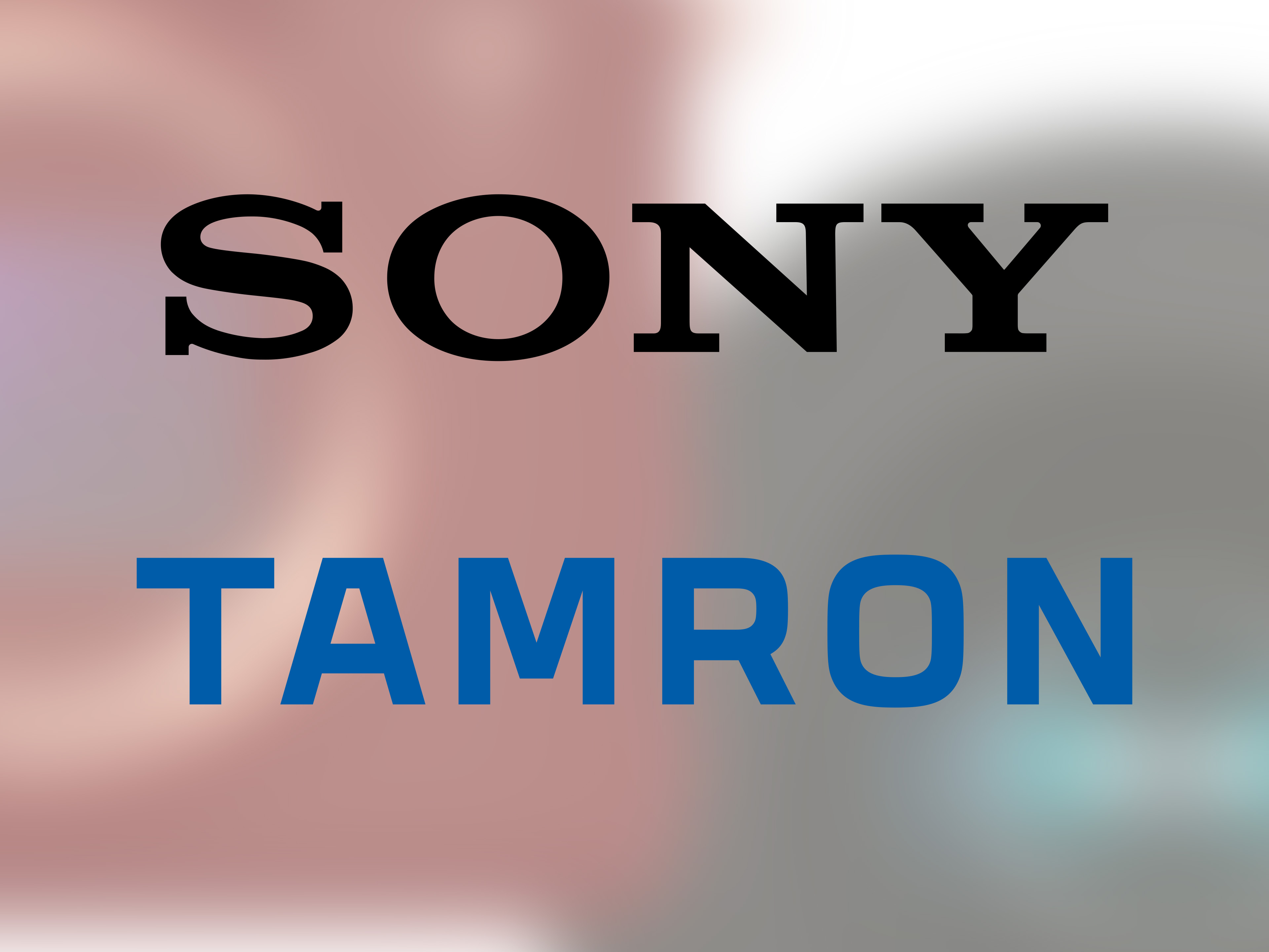 Sony wants to buy Tamron. Nikon and Canon shooters should pay attention
