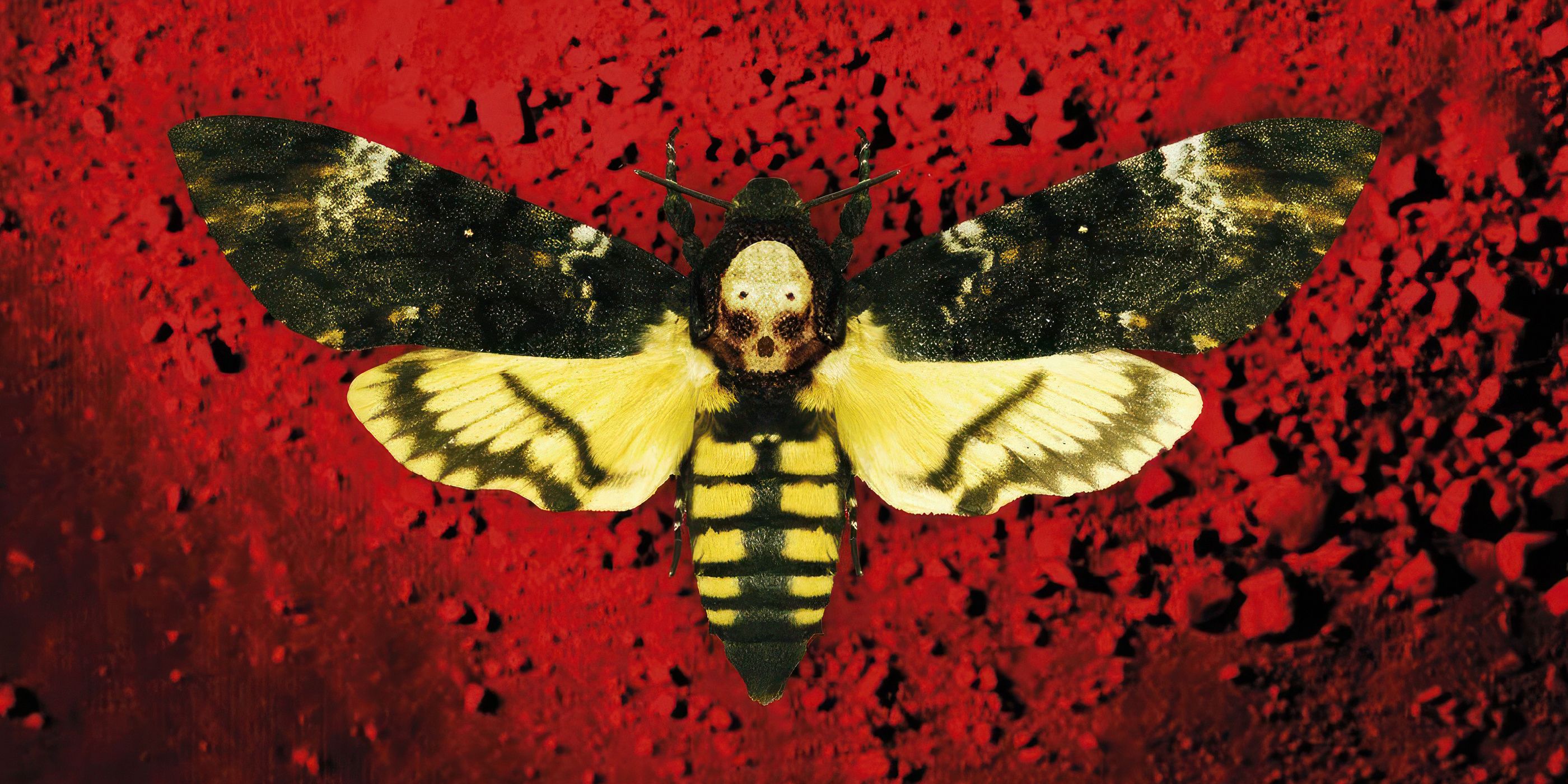 7 Thriller Books That Are Perfect From First Page to Last