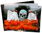 Stormy seas and the Day of the Dead: photos of the weekend