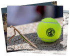 Marble dust mounds and a praying mantis: photos of the day – Monday