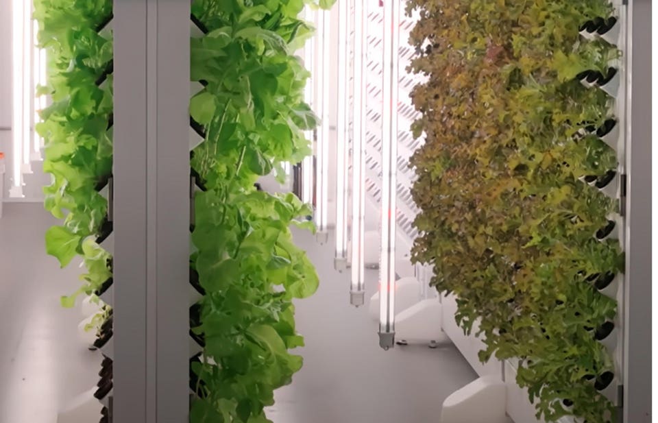 Agrivoltaics Makes Indoor Vertical Farming Make Economic Sense