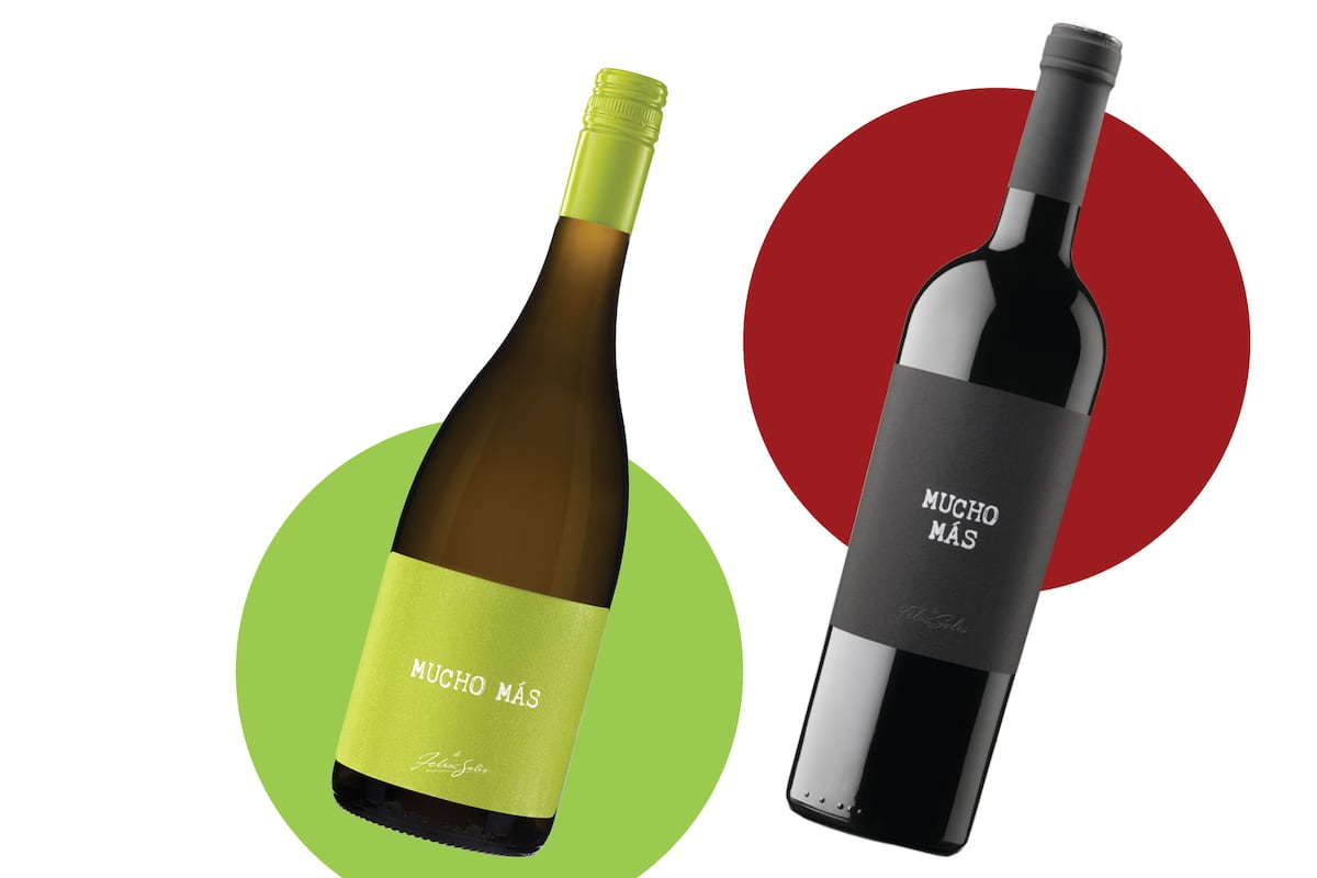 A ‘fantastic for the money’ white wine and a red to enjoy with tapas