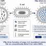 New start-up aims to cut cost of producing proteins for cancer care and diagnostics