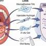 Rethinking oral cancer treatment: A review of next-generation drug delivery systems