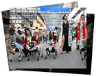 Robot dalmatians and a far-right rally: photos of the day – Wednesday