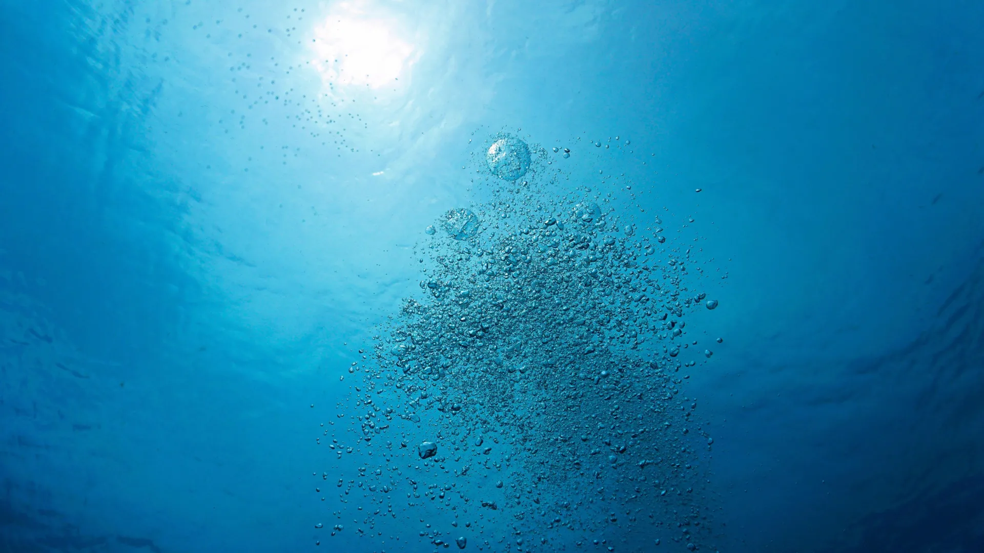 Earth’s waters are quietly running out of oxygen, scientists warn