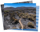 Scorched ground and a melting glacier: Monday’s photos of the day