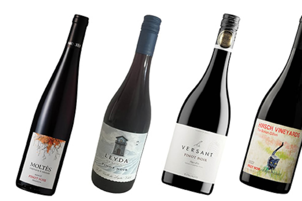 A pinot noir for every budget including one of my favourites