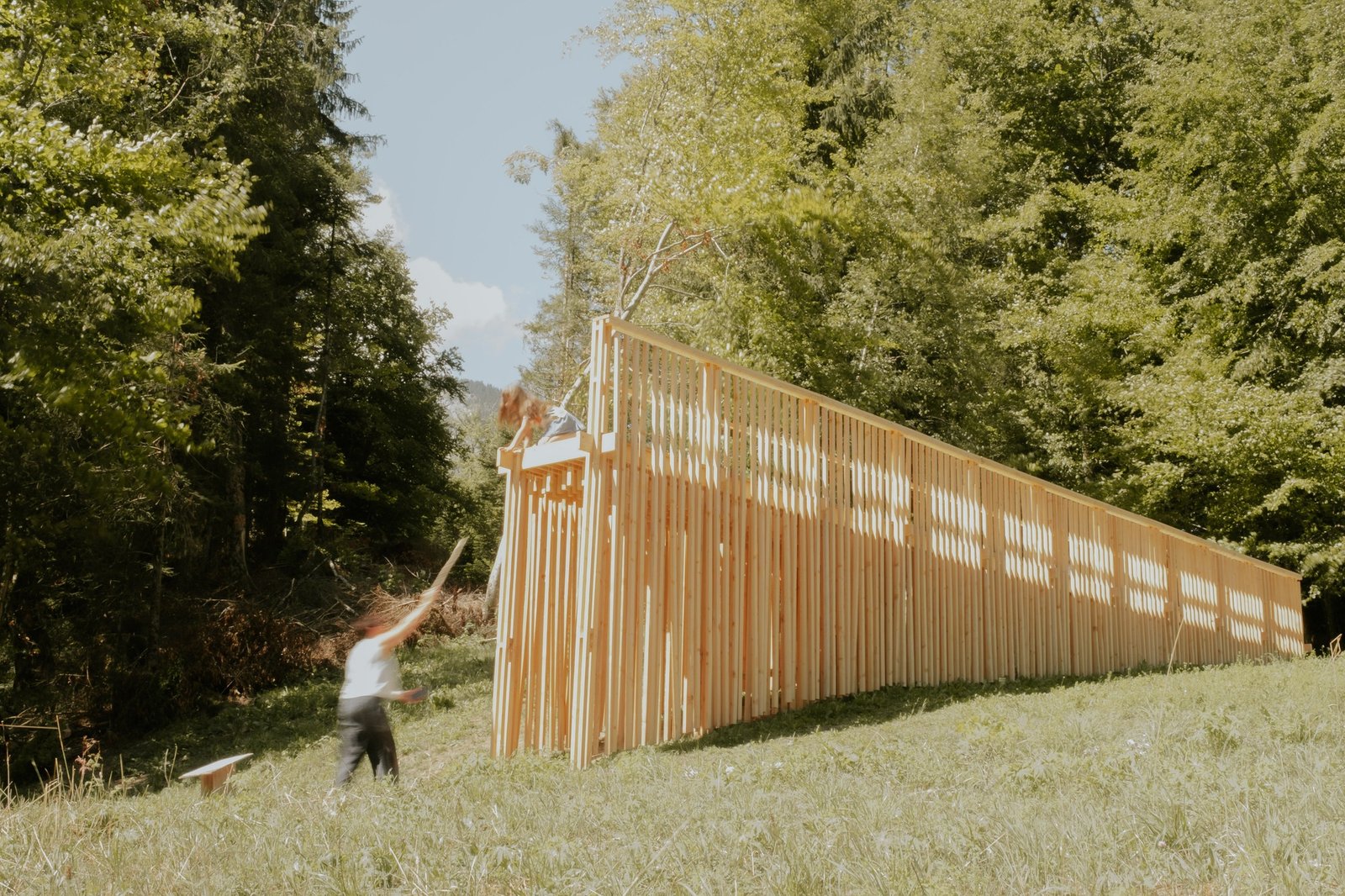 رياح الوادي تصبح أداءً موسيقيًا في The Sound of Wood عبر طبقة الأجراس الأفقية