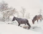 Strong, silent types? Meet the puesteros of Chile – in pictures