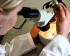 A health MOT is just one step towards prevention | Letters