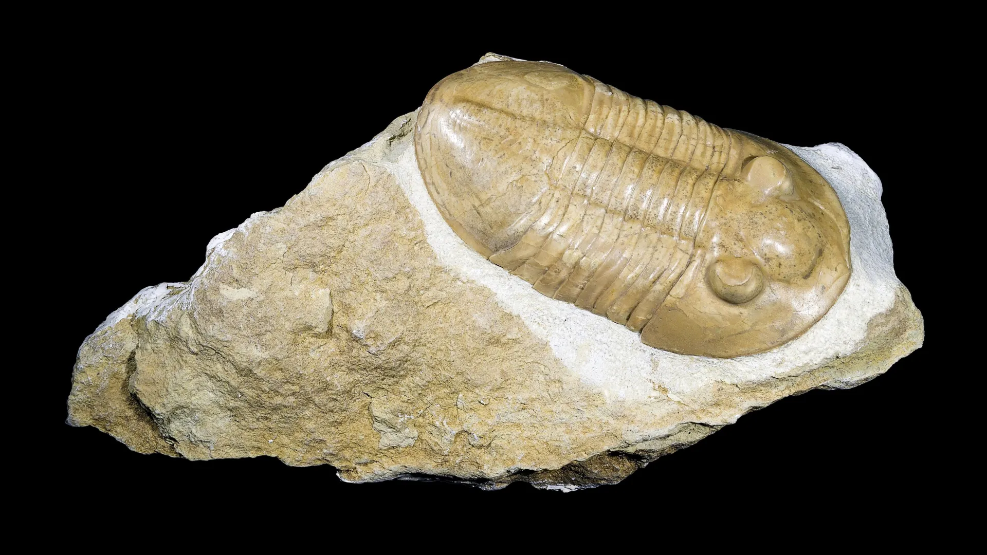 Scientists uncover the 2.3-billion-year-old secret that helped keep Earth habitable