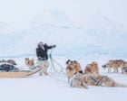 Scaring monkeys? Detecting bedbugs? Meet the elite working dogs – in pictures