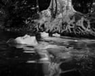 Down by the Hudson – ode to a New York swimming creek – in pictures