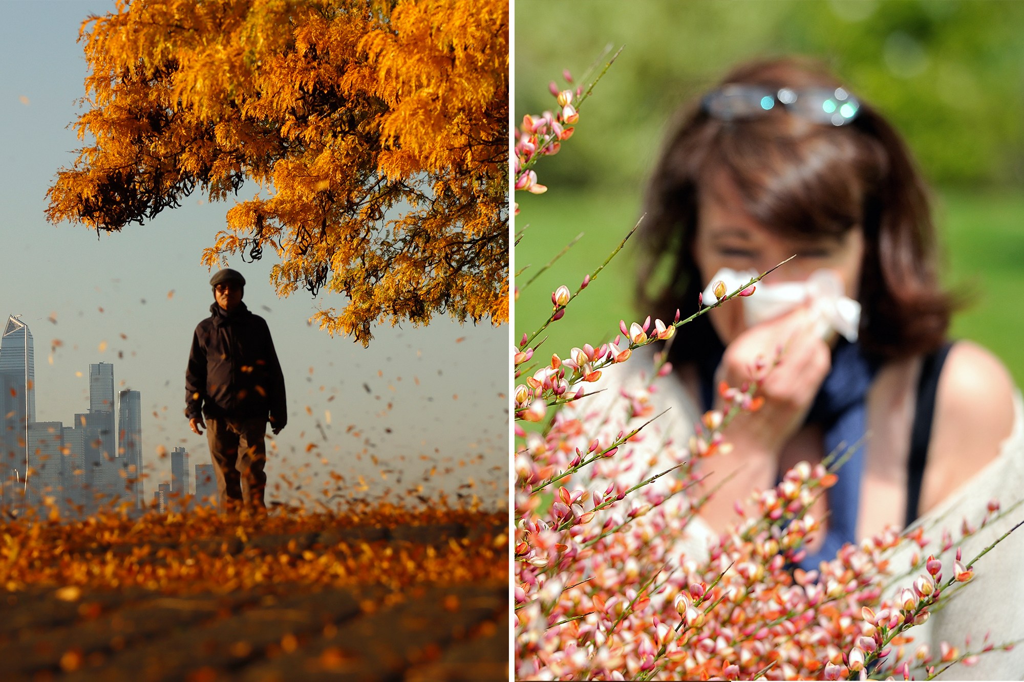 How to tell the difference between allergies vs a cold