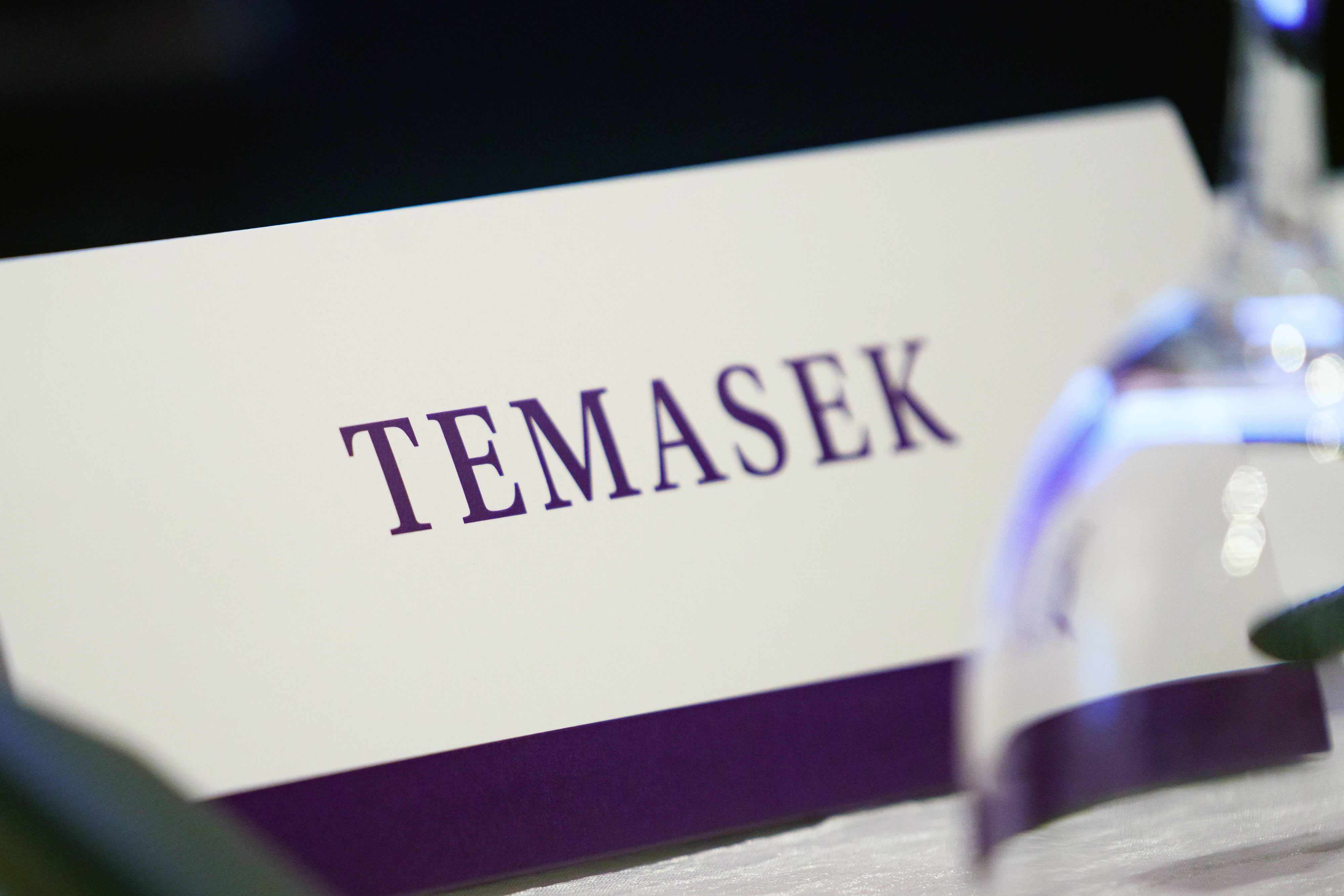 Singapore's Temasek warns of the ‘biggest risk’ facing markets right now
