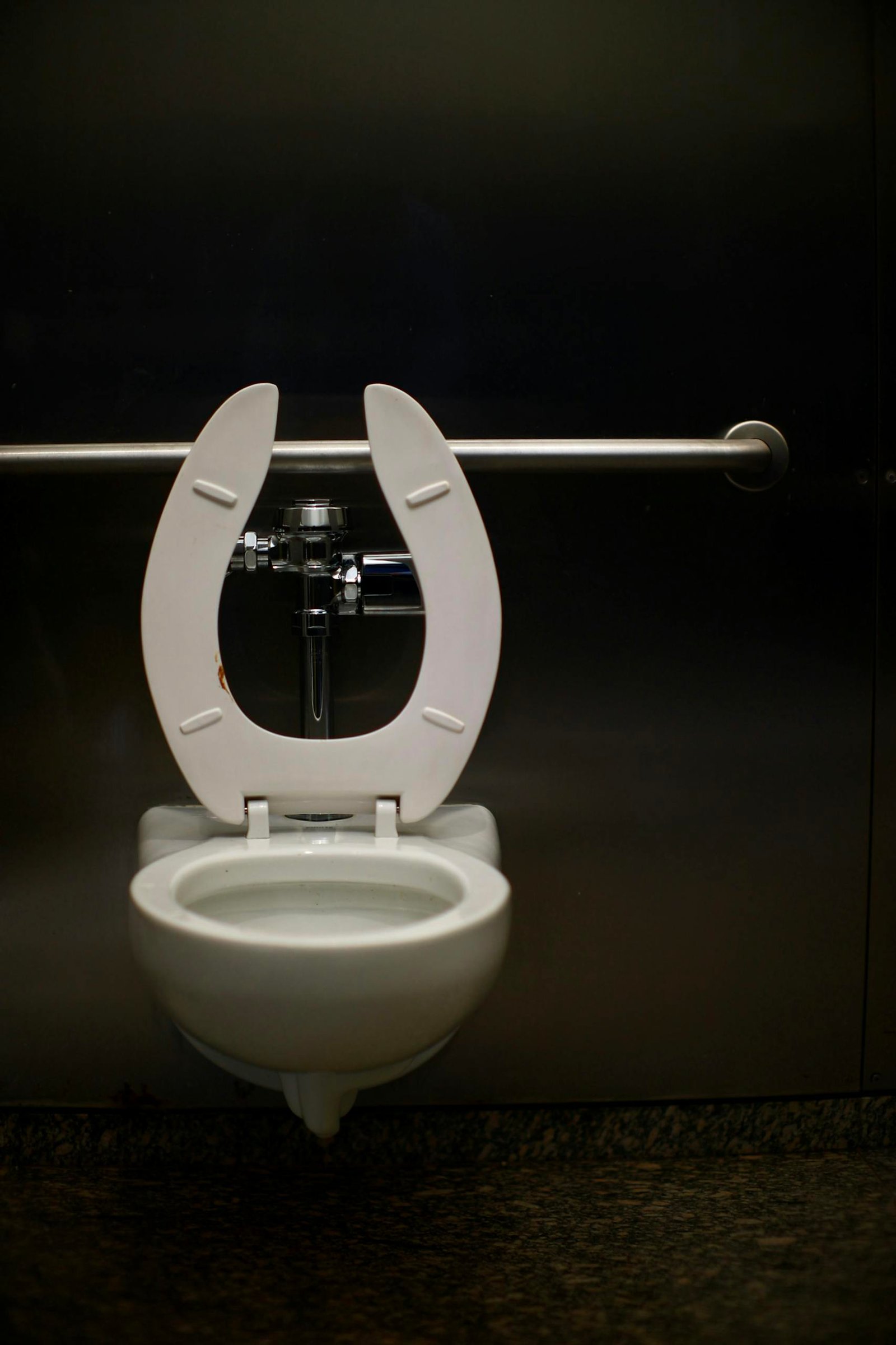 The Flush Toilet: Its History and Water Consumption in Urban Sanitation