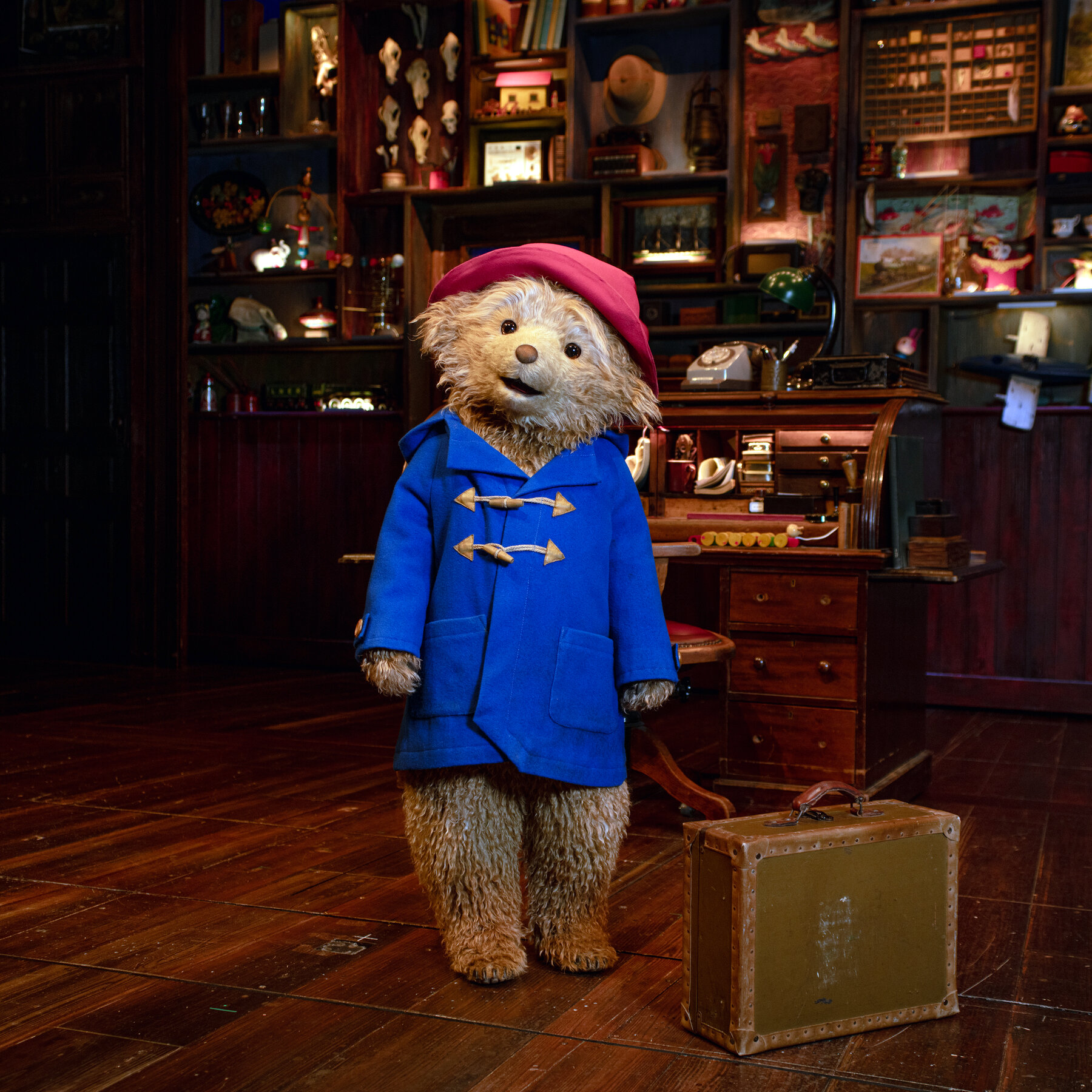 The ‘Paddington’ Musical Will Come to Broadway Next Spring