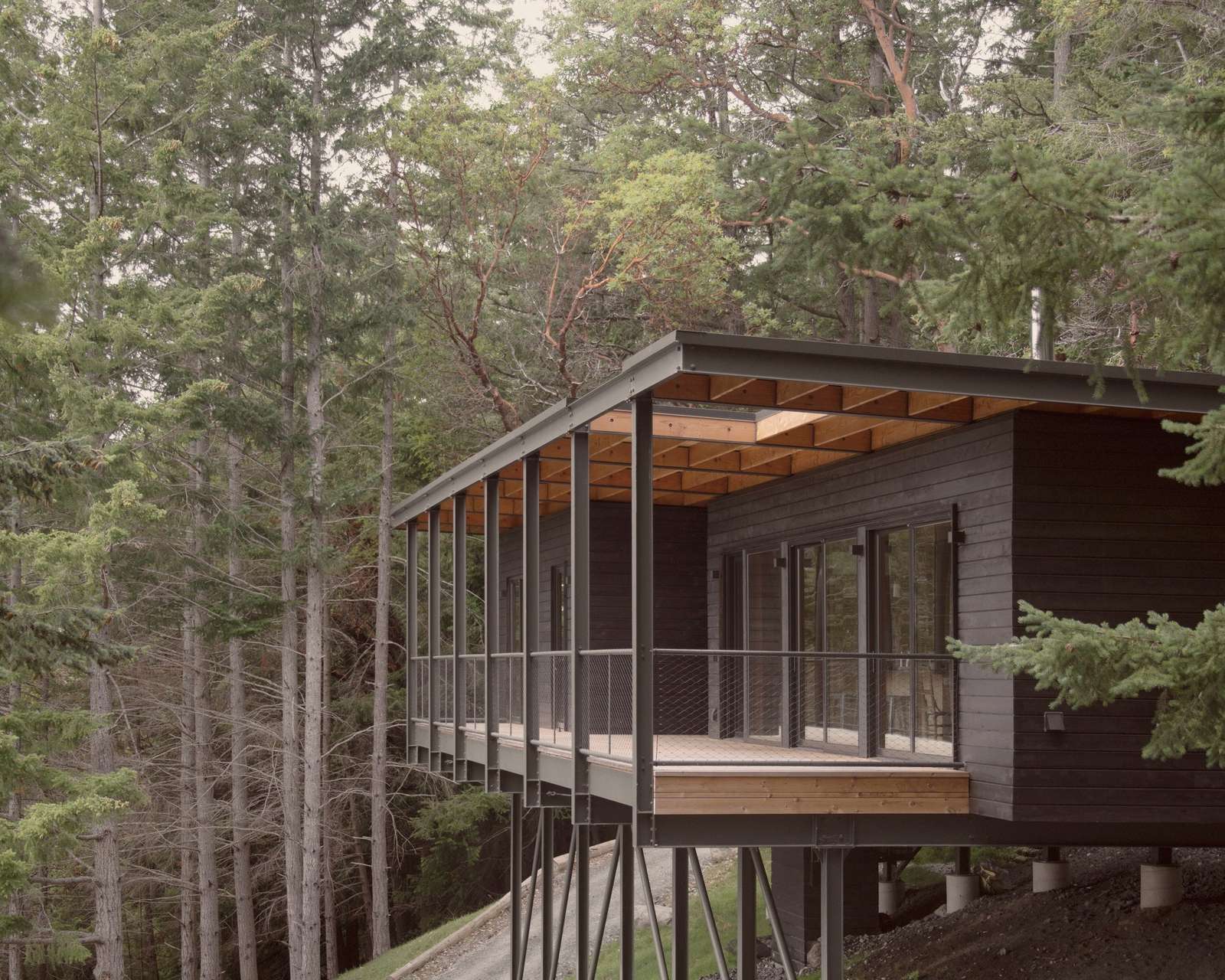 Bridge Cabin Offers a Structural Approach to Building on Steep Terrain