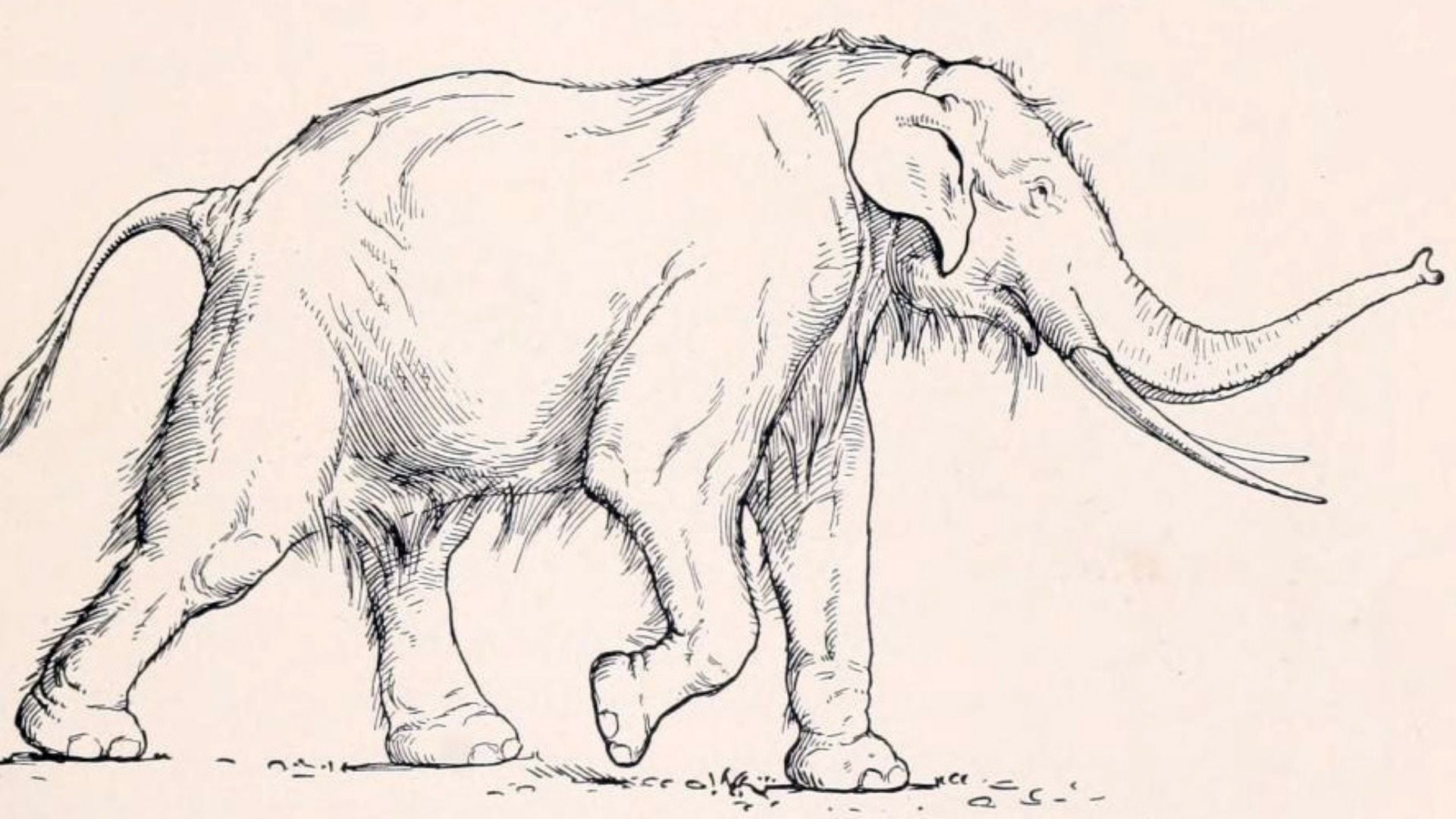 From mammoths to giant deer: 10 colossal animals of ancient Europe
