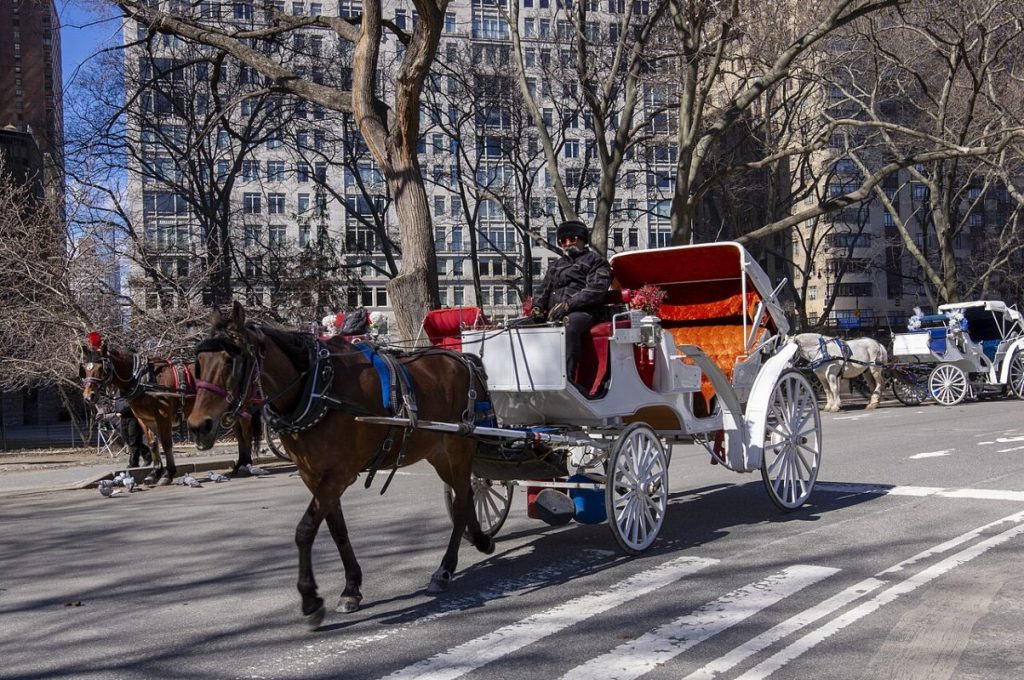 NYC’s Horse-Drawn Carriages To End by 2028