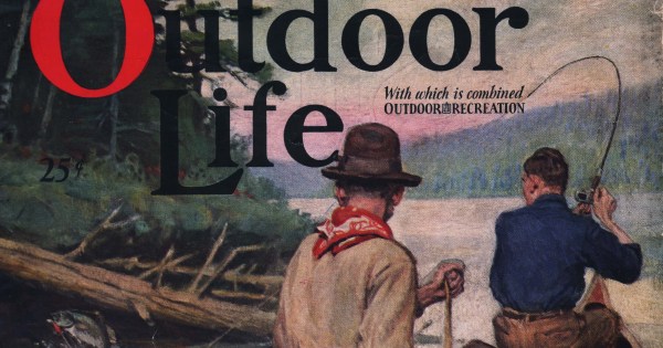 Content-to-Commerce Publishers Have Struggled. Could Outdoor Life Be the Exception?