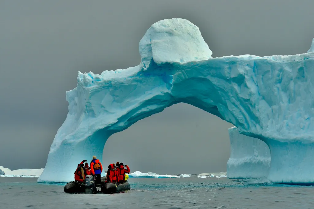 Antarctic Tourism Is Booming. Guides Say Expertise Is Thinning