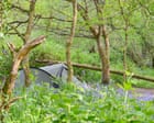 I camped in one of Britain’s last remaining rainforests