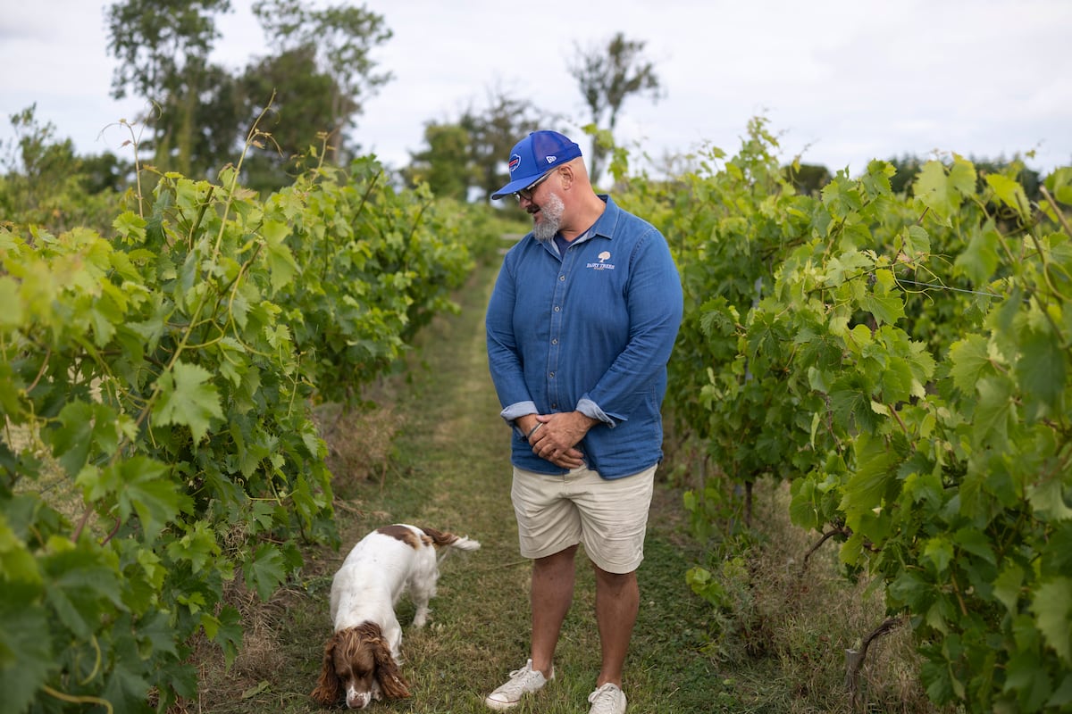 Inside the Irish vineyard facing questions over how much of its wine is from Irish grapes