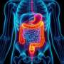 Family cancer burden predicts risk in patients with inflammatory bowel disease