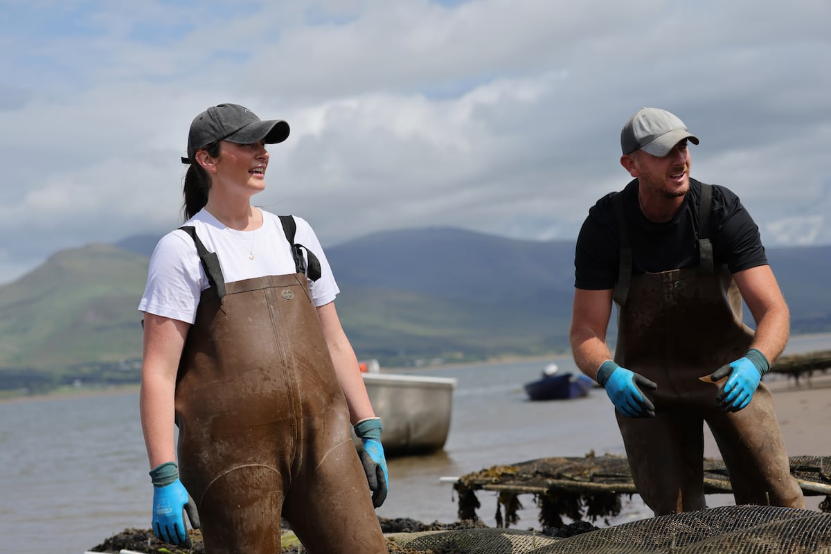 An oyster’s journey from sea to spoon in Ireland: ‘It’s far from umami we were reared’