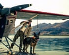 Pedigree chums: why the movies are killing off fewer dogs