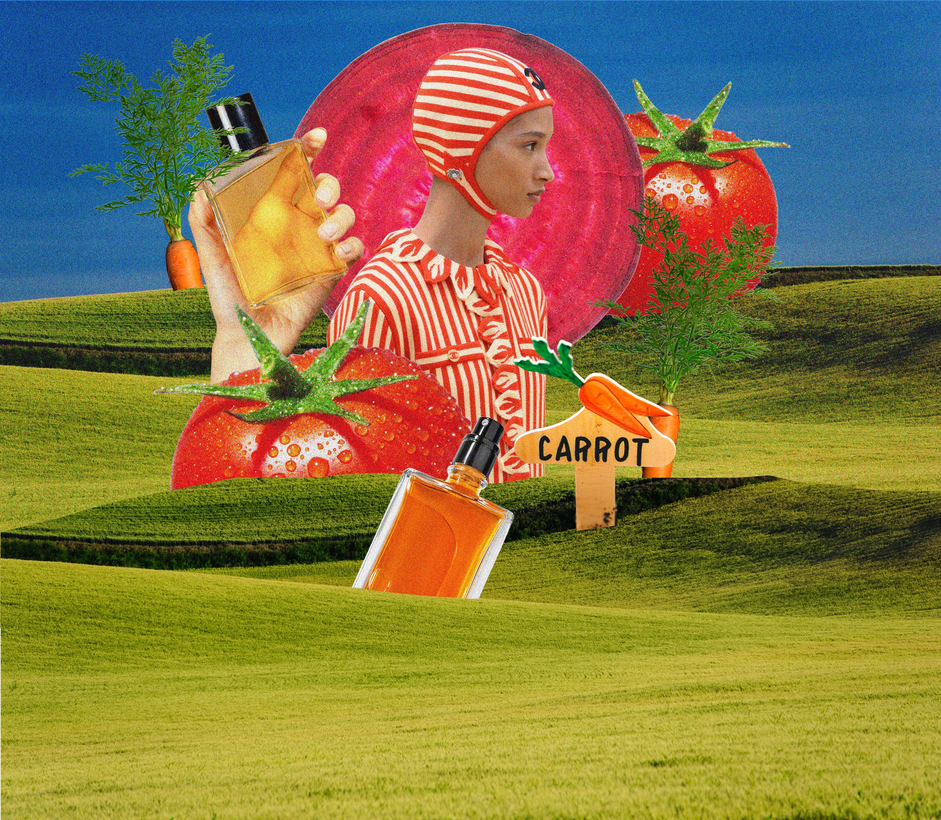 Everyone Wants to Smell Like a Tomato Now