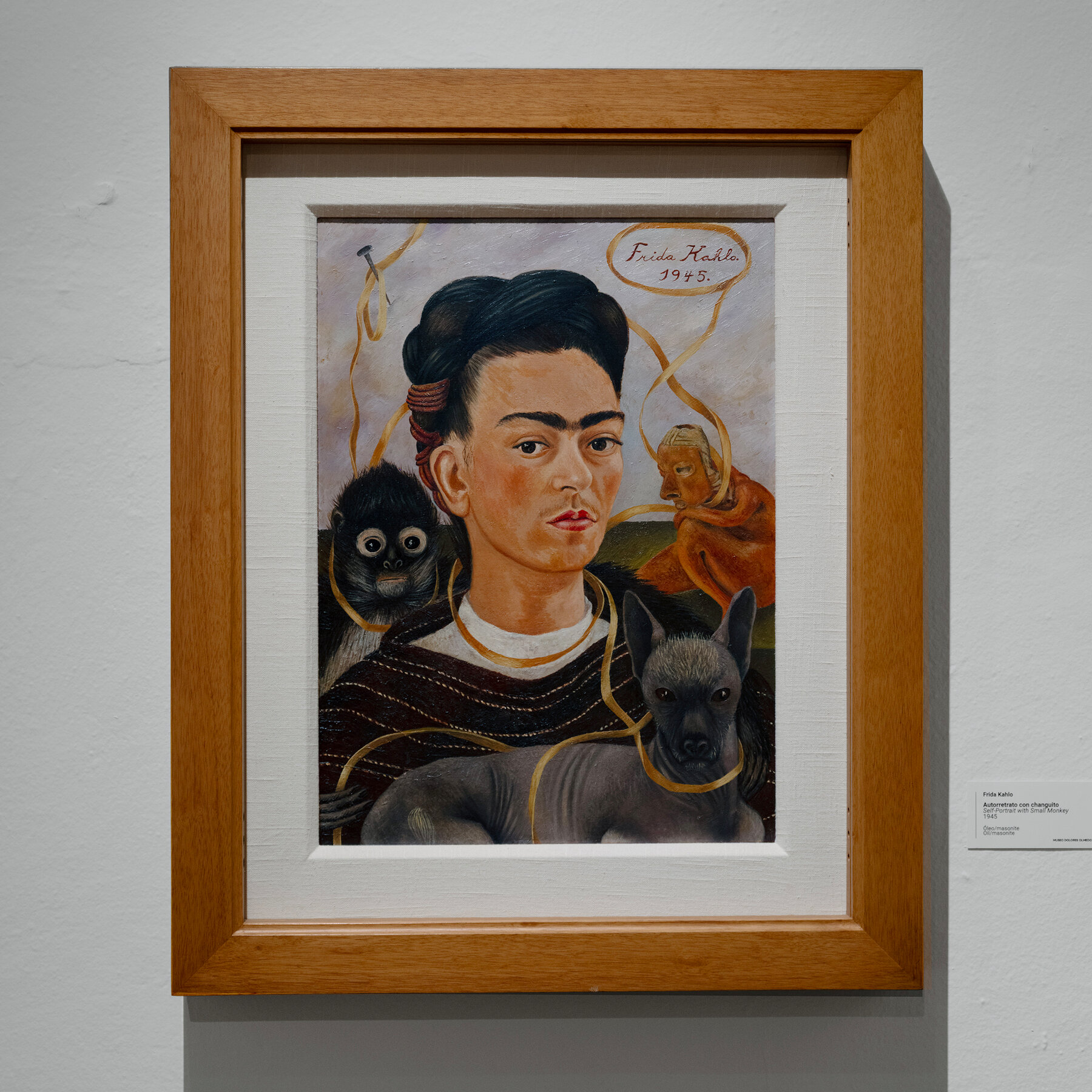 Bounty of Frida Kahlo Art Emerges in Mexico’s Restored Museum