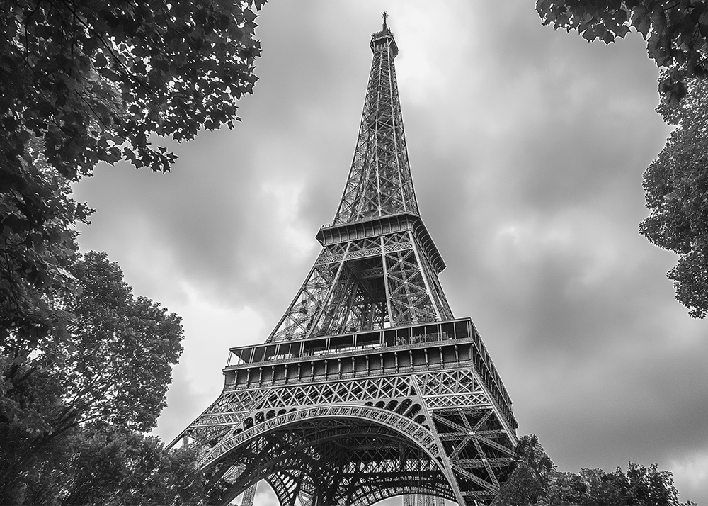 GCC’s Maison Ellyse opens first European office in Paris
