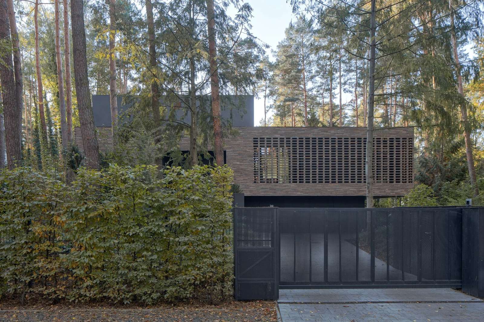 House with a Glade Project Redefines the Relationship Between Architecture, Forest, and Light