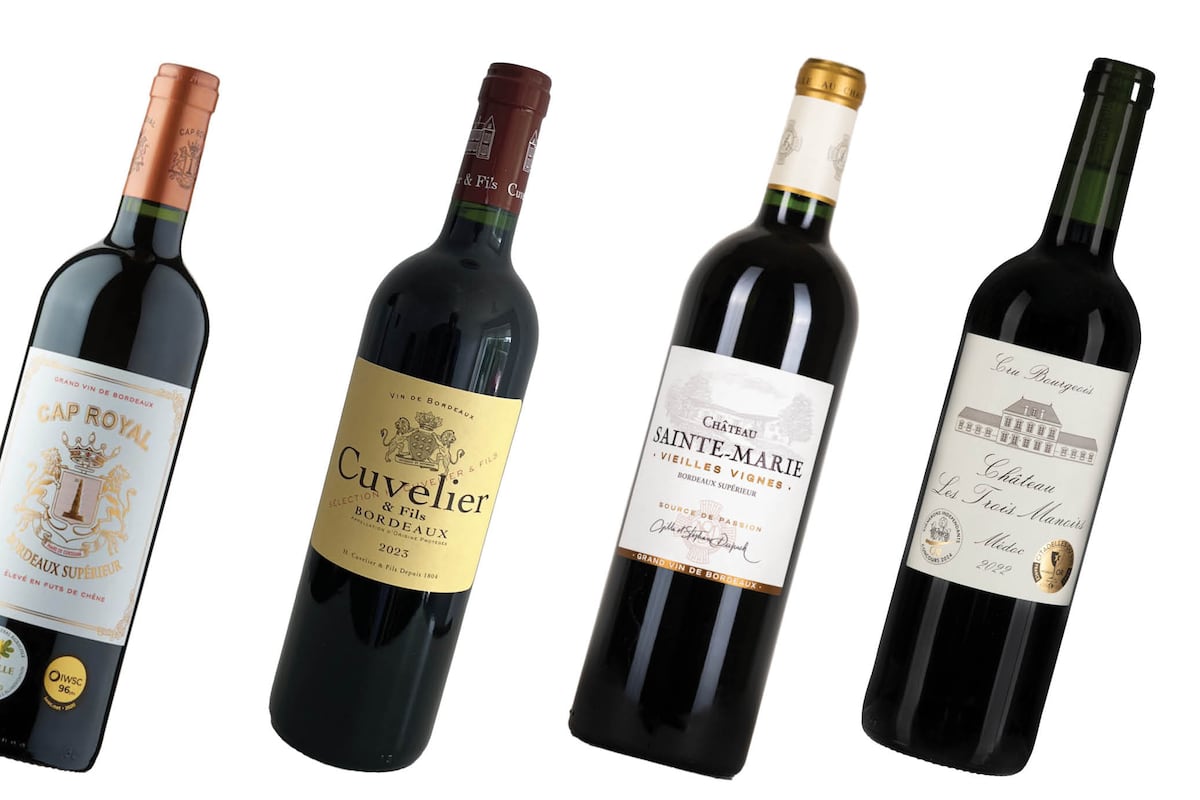 Bordeaux basics: four red wines that epitomise this classic region