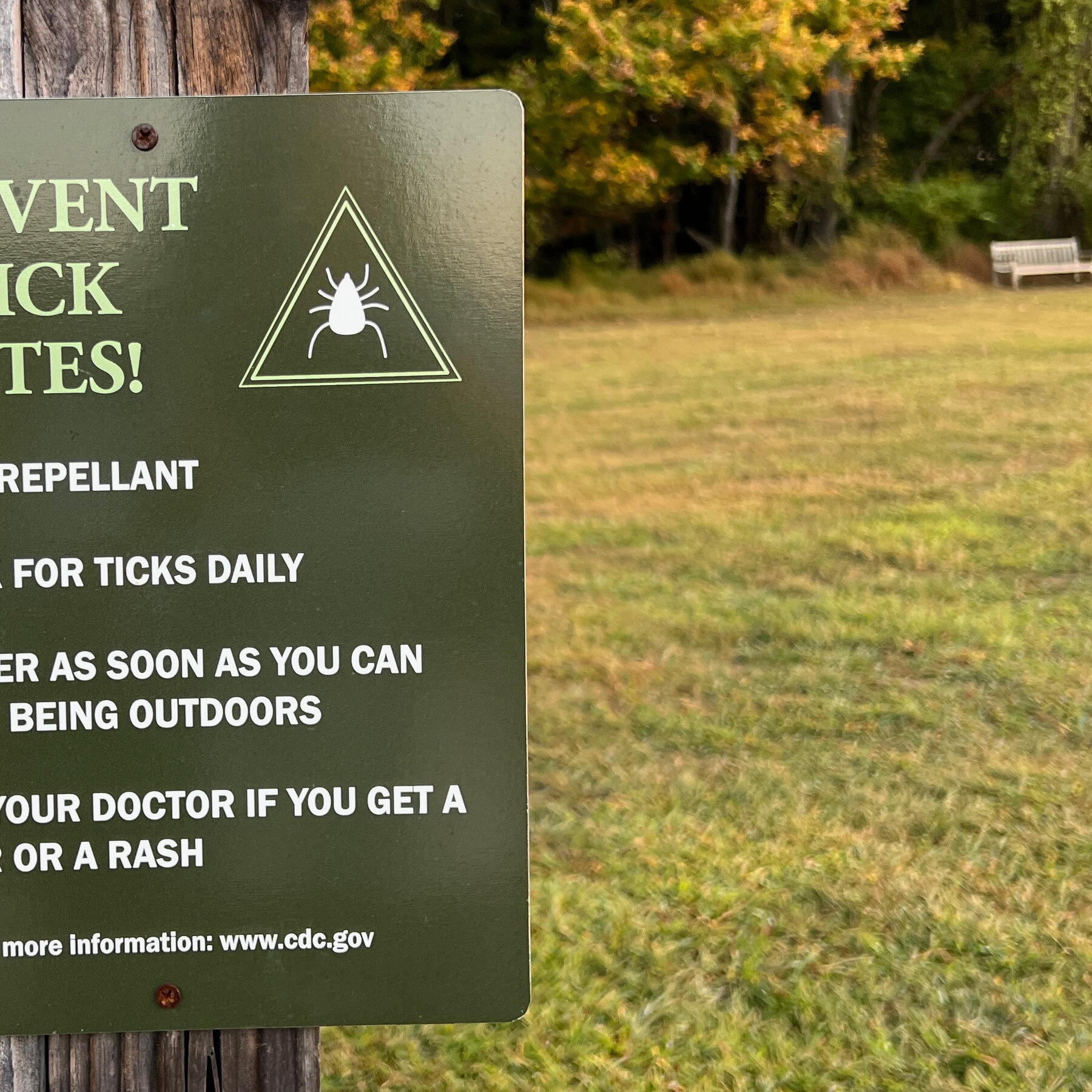 Ticks Are on the Move. Here Are the Risks in Your Region.