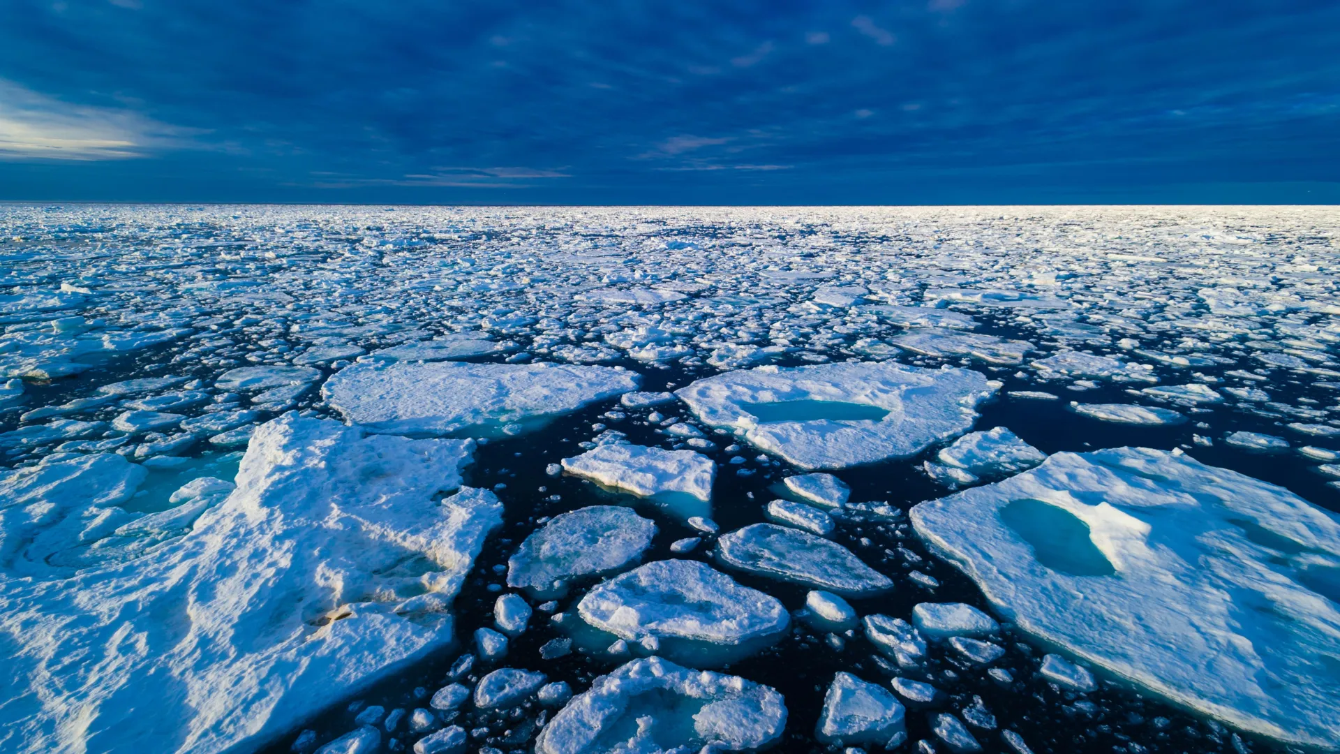 Scientists discover Arctic sea ice loss could be far worse than predicted