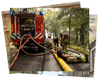 Wildfire fighting and wildflower harvesting: photos of the day – Tuesday