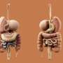 US gripped by major outbreak of intestinal infections