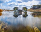 ‘From this perspective, the bullfrog feels powerful and mythical’: Steven Scott Grogin’s best phone picture