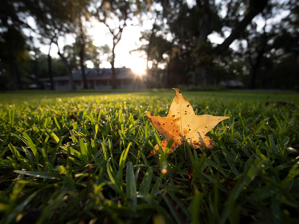 Ultrawide reach in a surprisingly small package: LK Samyang 14-24mm F2.8 sample gallery