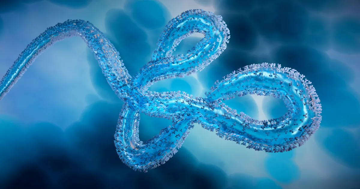Ebola