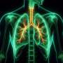 Very severe long COVID linked to differences in lung and mouth microbiomes